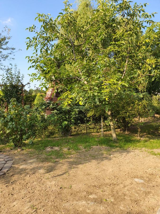 Apartamenty Straconka ,Bílsko-Bělá Exteriér fotografie